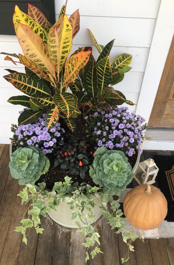 fall planters