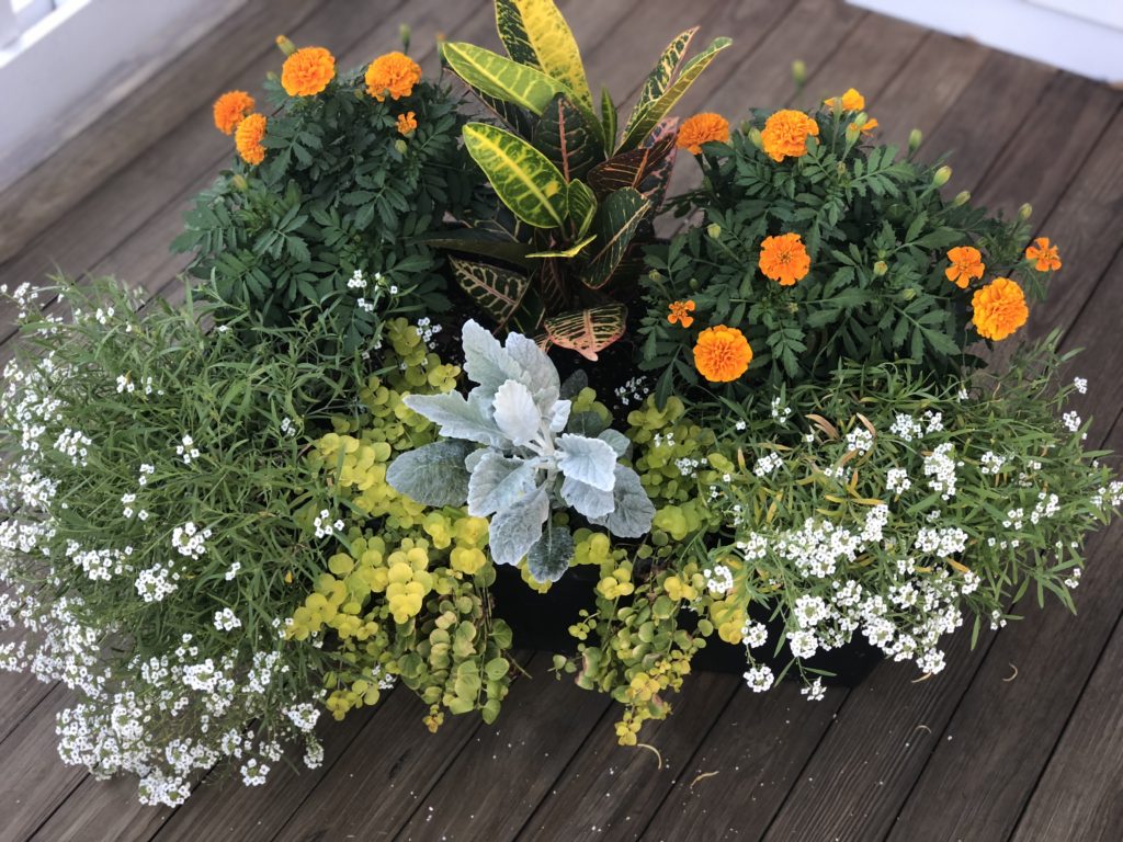 fall flowers planters