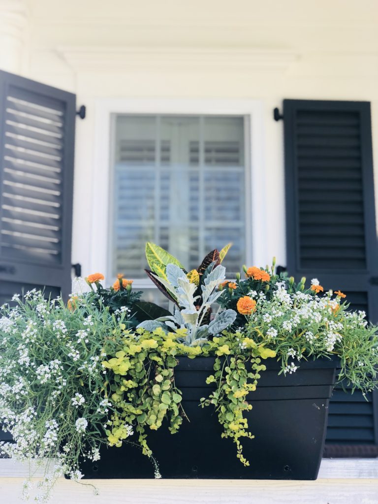 fall planters